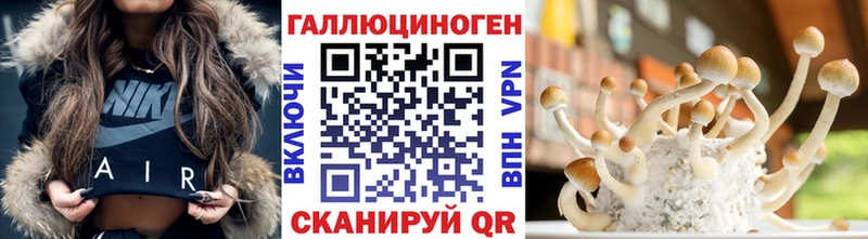 купить наркоту  Чаплыгин  Псилоцибиновые грибы мухоморы 